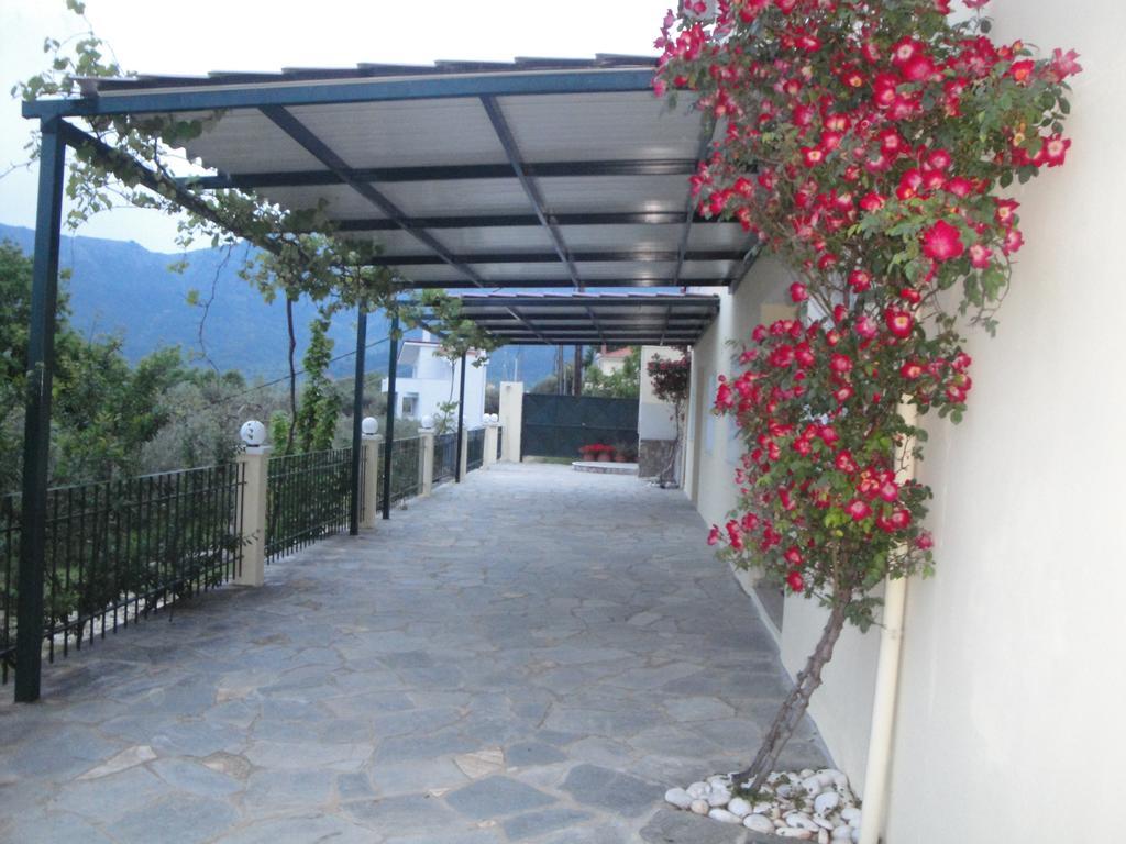 Nestor Apartments Chrysi Ammoudia Exteriér fotografie